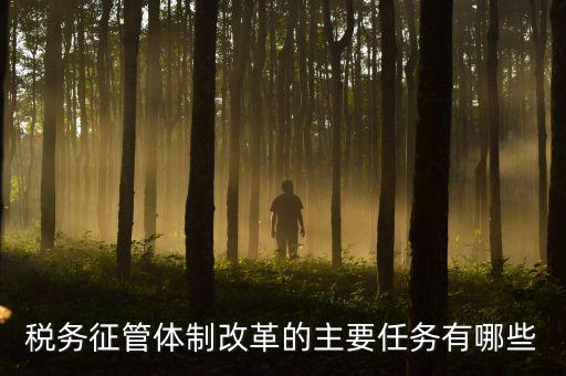 稅務系統(tǒng)的業(yè)務改革都有什么，稅務征管體制改革的主要任務有哪些