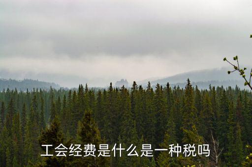 工會(huì)稅是什么，精靈樂章 工會(huì)抽稅是什么意思要詳細(xì)的