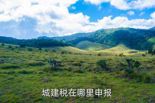 地稅城市維護(hù)建設(shè)稅按什么申報(bào)，城建稅申報(bào)