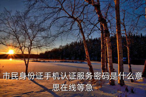 市民身份證手機(jī)認(rèn)證服務(wù)密碼是什么意思在線(xiàn)等急