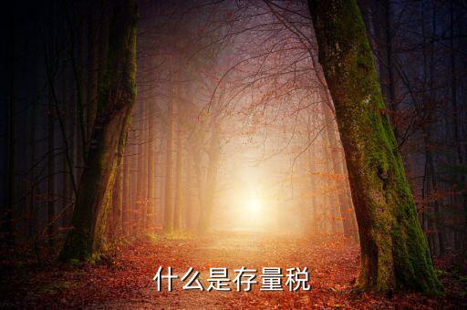 稅務(wù)存量戶(hù)指什么，稅務(wù)登記證轉(zhuǎn)非是什么意思