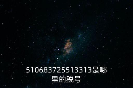 陜西省地方的稅號(hào)開(kāi)頭是什么，510683725513313是哪里的稅號(hào)