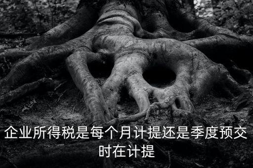 企業(yè)所得稅什么時候計提，企業(yè)所得稅在什么時候開始預提