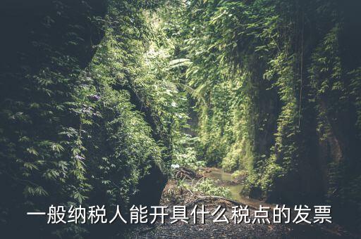 一般納稅人領(lǐng)什么發(fā)票，一般納稅人企業(yè)能開(kāi)具和使用什么類型的發(fā)票