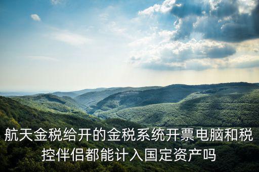 金稅為什么給中軟做，航天金稅給開的金稅系統(tǒng)開票電腦和稅控伴侶都能計(jì)入國(guó)定資產(chǎn)嗎