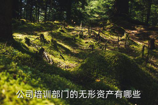 其他權(quán)益性無形資產(chǎn)是什么，無形資產(chǎn)屬于什么科目