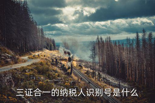 三證合一的稅號是什么，三證合一的納稅人識別號是什么