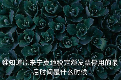 地稅的發(fā)票什么時候不能用，誰知道原來寧夏地稅定額發(fā)票停用的最后時間是什么時候