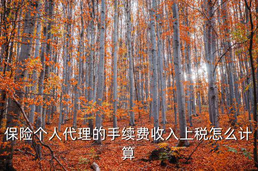 保險(xiǎn)代理員交什么稅，請(qǐng)問(wèn)從車輛保險(xiǎn)代理人的提承里扣的稅是什么稅啊