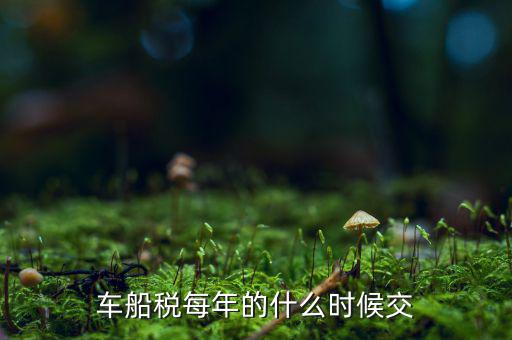 車船稅每年的什么時(shí)候交
