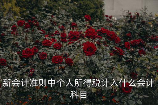 所得稅費用什么科目，新會計準則中個人所得稅計入什么會計科目