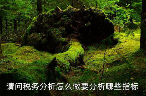 什么是稅務(wù)指標(biāo)構(gòu)建，請(qǐng)問稅務(wù)分析怎么做要分析哪些指標(biāo)
