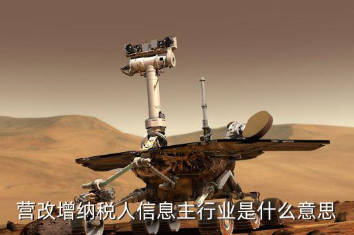 國稅主行業(yè)都是什么意思，營(yíng)改增納稅人信息主行業(yè)是什么意思