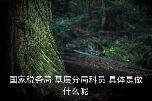 國(guó)地稅征管改革黨員干部干什么，國(guó)家稅務(wù)局 基層分局科員 具體是做什么呢