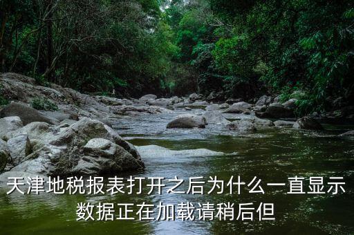 天津地稅為什么，天津地稅報(bào)表打開之后為什么一直顯示數(shù)據(jù)正在加載請(qǐng)稍后但