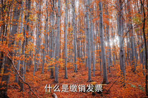 發(fā)票繳銷什么意思，繳銷發(fā)票是什么意思啊是第個月作廢的發(fā)票都必須當月繳銷嗎還是怎