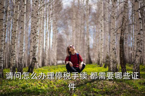 停供發(fā)票需要注意什么手續(xù)，停國稅要怎么辦理 要什么手續(xù)
