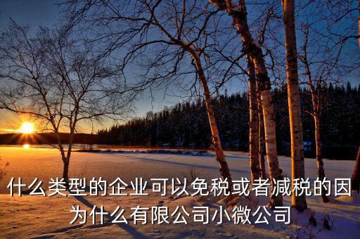 什么樣的企業(yè)可免稅，請(qǐng)問什么樣的公司可以得到免稅