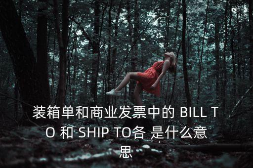 發(fā)票中b o是什么意思，在形式發(fā)票中Merrs是什么意思啊