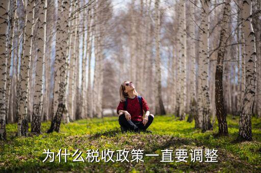 為什么進(jìn)行納稅調(diào)整，我國(guó)為什么要進(jìn)行個(gè)人所得稅調(diào)整高中政治