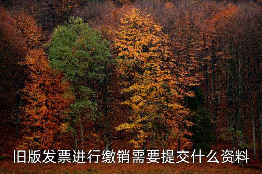 舊版發(fā)票進(jìn)行繳銷(xiāo)需要提交什么資料