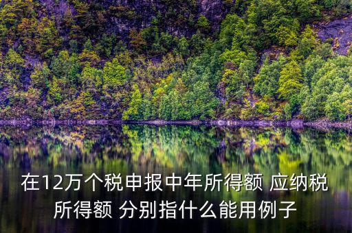 在12萬個稅申報中年所得額 應(yīng)納稅所得額 分別指什么能用例子