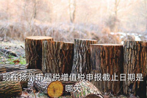 揚州10月稅務(wù)申報什么時候，個人所得稅10月份申報期限是多少