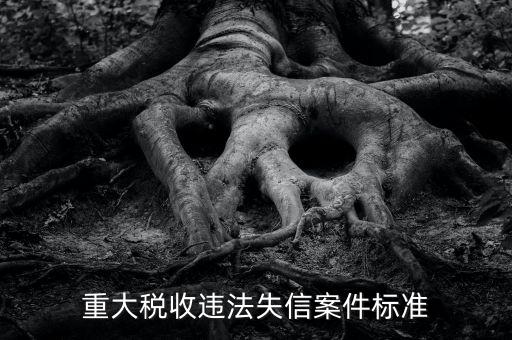 重大稅收違法是什么意思，實(shí)名辦稅黑名單納稅人是什么意思