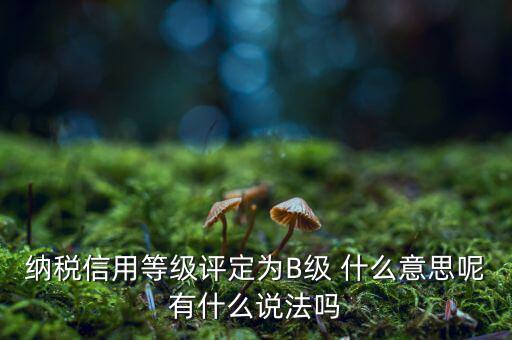 國(guó)稅b級(jí)信用是什么意思，納稅信用等級(jí)評(píng)定為B級(jí) 什么意思呢有什么說法嗎