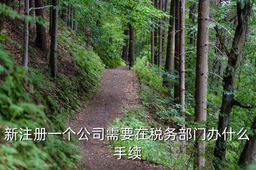 新辦企業(yè)需要到地稅辦理什么手續(xù)費，新注冊一個公司需要在稅務(wù)部門辦什么手續(xù)