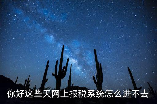 為什么個(gè)稅系統(tǒng)打不開(kāi)，你好這些天網(wǎng)上報(bào)稅系統(tǒng)怎么進(jìn)不去