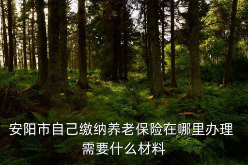 安陽(yáng)地稅局交個(gè)人保險(xiǎn)在什么地方，安陽(yáng)市醫(yī)保交費(fèi)在哪里地稅局