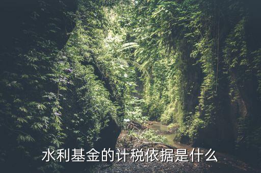 水利基金的繳納按照什么依據(jù)，水利基金的計稅依據(jù)及稅率