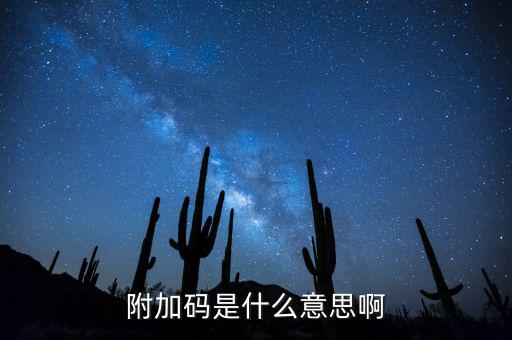 遼寧查發(fā)票有一個附加碼是什么，發(fā)票真?zhèn)尾樵兇a是什么