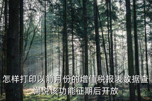 46月份征期是什么意思，怎樣打印以前月份的增值稅報(bào)表數(shù)據(jù)查詢說(shuō)該功能征期后開(kāi)放