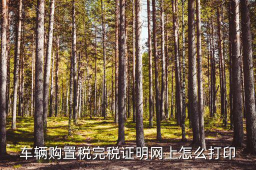 什么是購(gòu)置稅完稅證明，車輛購(gòu)置稅完稅證明是什么它在二手車交易中起什么作用
