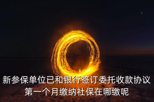 什么時候辦理授權(quán)劃繳協(xié)議，如何取得委托銀行劃轉(zhuǎn)地方稅費(fèi)授權(quán)書協(xié)議書去銀行還是去地稅