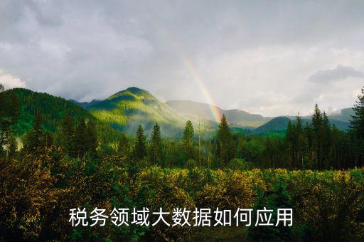 稅務領域大數(shù)據(jù)如何應用