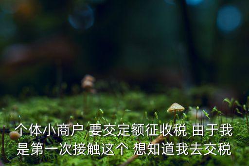 定額納稅到什么地方繳，定額征收的個(gè)體需繳納什么地稅