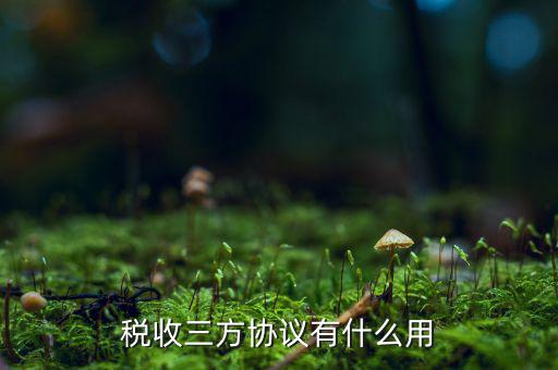稅務(wù)第三方協(xié)議是什么，地稅局簽第三方協(xié)議 備案是什么意思