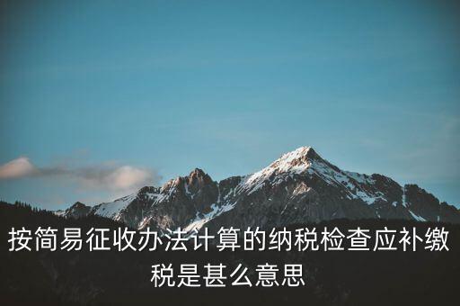 簡(jiǎn)易征收什么意思，按簡(jiǎn)易征收辦法計(jì)算的納稅檢查應(yīng)補(bǔ)繳稅是甚么意思