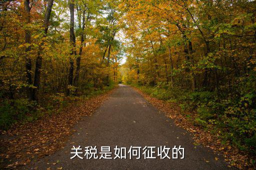 依據(jù)什么征收關(guān)稅，關(guān)稅是如何征收的