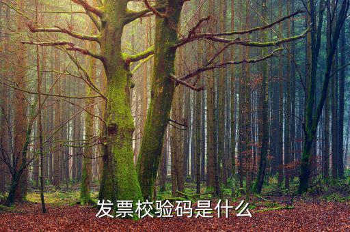 電子發(fā)票 查詢的驗(yàn)證碼是什么，發(fā)票校驗(yàn)碼是什么