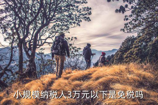 3萬以下免稅是什么意思，小規(guī)模納稅人3萬元以下是免稅嗎