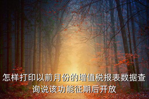 怎樣打印以前月份的增值稅報(bào)表數(shù)據(jù)查詢說該功能征期后開放
