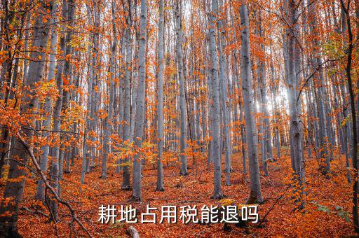 耕地占用稅什么情況可以退，占用耕地罰款后拆遷還能退嗎