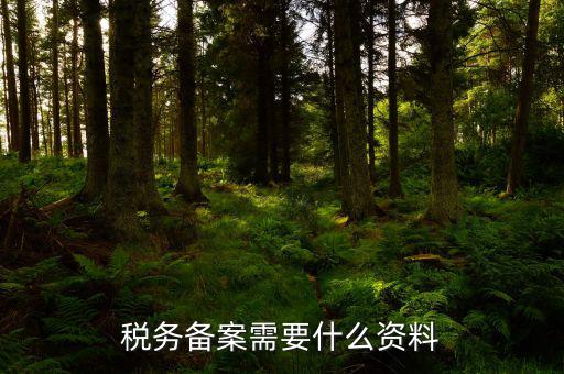消費(fèi)稅免稅備案需要帶什么資料，理跨境服務(wù)免稅備案手續(xù)時需要提交哪些資料