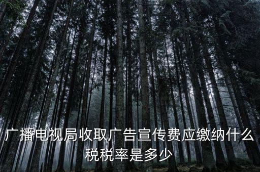 宣傳費(fèi)屬于什么稅，廣播電視局收取廣告宣傳費(fèi)應(yīng)繳納什么稅稅率是多少