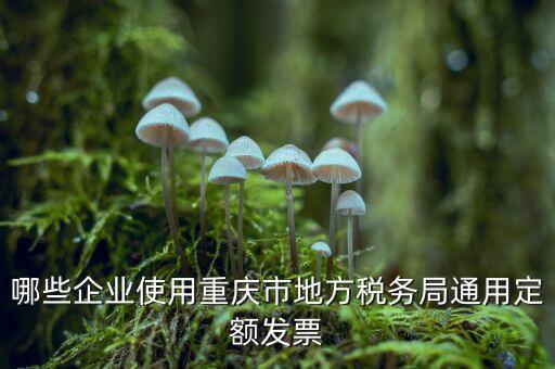 定額發(fā)票什么行業(yè)，哪些企業(yè)能買手撕定額發(fā)票小規(guī)模生產(chǎn)企業(yè)已經(jīng)開了普通發(fā)票能買