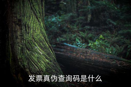 網(wǎng)絡(luò)發(fā)票查詢號(hào)是什么，發(fā)票真?zhèn)尾樵兇a是什么